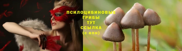 мдма Зерноград