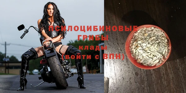 mix Елабуга